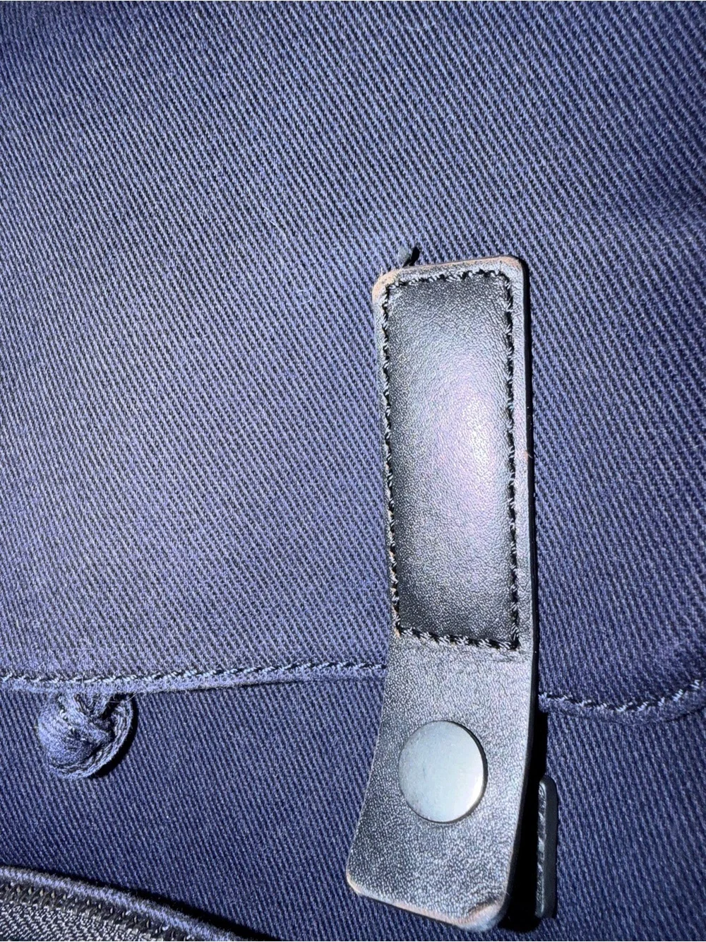 Everlane Navy Canvas Backpack with Snaps